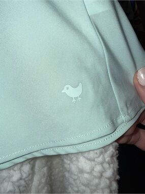 Bad Birdie Mint Green Athletic Top with Script Logo